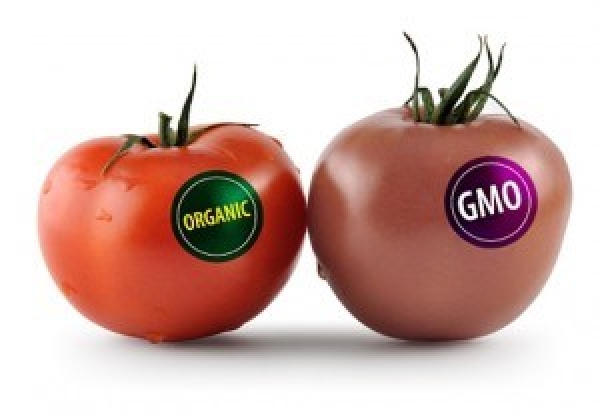 GMOs
