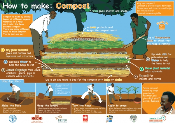Organic tomatoes have higher nutrients