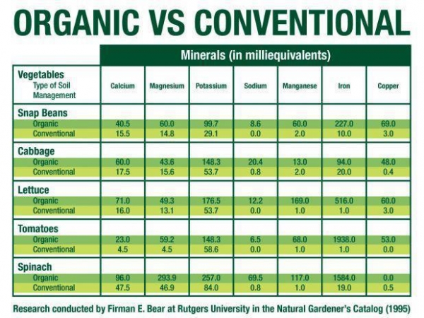 Organic vs Conventional Food