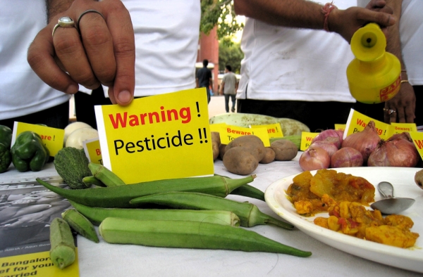 Pesticides in Food