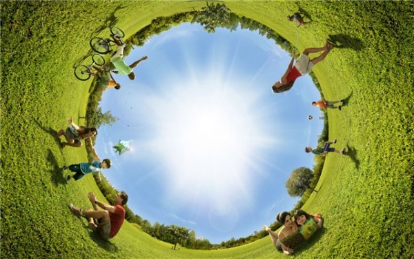 Affects of GMO to human health and the environment